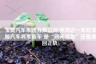 宝能汽车集团有限公司(停滞近一年后宝能汽车将发新车 是“回光返照”还是重回正轨)