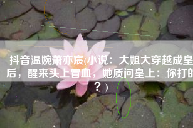 抖音温婉萧亦宸(小说：大姐大穿越成皇后，醒来头上冒血，她质问皇上：你打的？)
