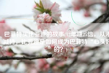 巴菲特买比亚迪的故事(12年赚25倍，从未减持，比亚迪是如何成为巴菲特“心头好”的？)