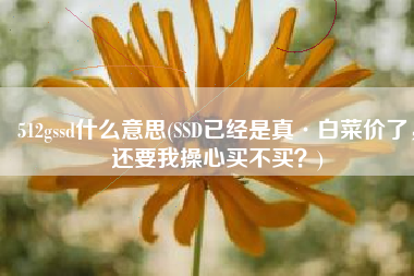 512gssd什么意思(SSD已经是真·白菜价了，还要我操心买不买？)