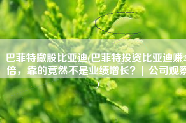 巴菲特撤股比亚迪(巴菲特投资比亚迪赚25倍，靠的竟然不是业绩增长？| 公司观察)