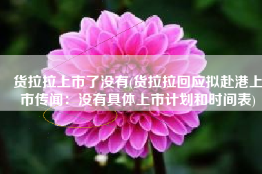 货拉拉上市了没有(货拉拉回应拟赴港上市传闻：没有具体上市计划和时间表)