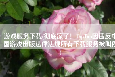 游戏服务下载(彻底凉了！TapTap因违反中国游戏出版法律法规所有下载服务被叫停)