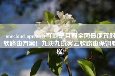 onecloud openwrt(可能是目前全网最便宜的软路由方案！九块九玩客云软路由保姆教程)