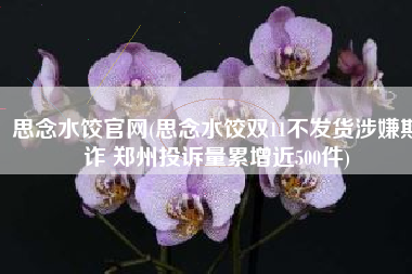 思念水饺官网(思念水饺双11不发货涉嫌欺诈 郑州投诉量累增近500件)