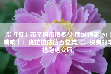 货拉拉上市了吗市值多少(同城物流IPO「哨响」：货拉拉估值百亿美元，快狗打车抢跑港交所)