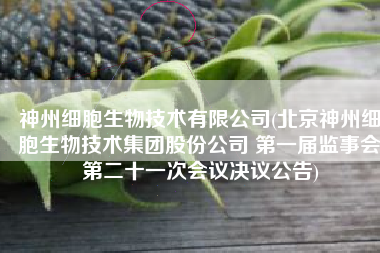 神州细胞生物技术有限公司(北京神州细胞生物技术集团股份公司 第一届监事会第二十一次会议决议公告)