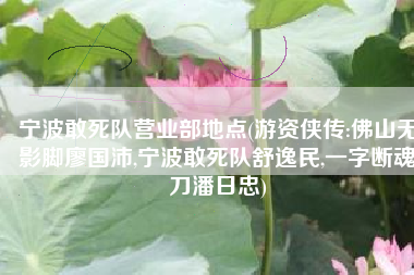 宁波敢死队营业部地点(游资侠传:佛山无影脚廖国沛,宁波敢死队舒逸民,一字断魂刀潘日忠)