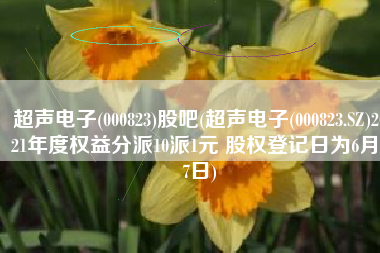 超声电子(000823)股吧(超声电子(000823.SZ)2021年度权益分派10派1元 股权登记日为6月27日)