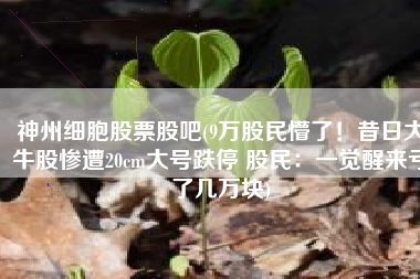神州细胞股票股吧(9万股民懵了！昔日大牛股惨遭20cm大号跌停 股民：一觉醒来亏了几万块)