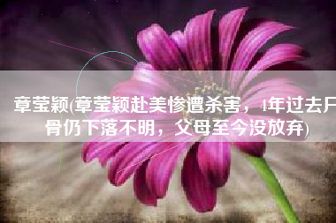 章莹颖(章莹颖赴美惨遭杀害，4年过去尸骨仍下落不明，父母至今没放弃)