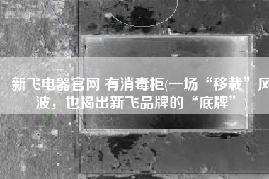 新飞电器官网 有消毒柜(一场“移栽”风波，也揭出新飞品牌的“底牌”)