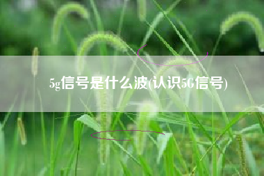 5g信号是什么波(认识5G信号)