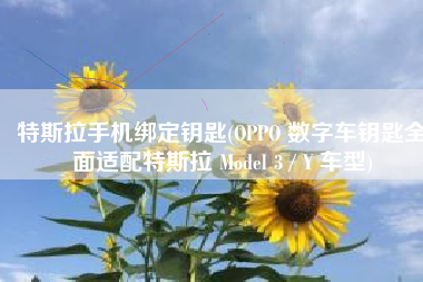 特斯拉手机绑定钥匙(OPPO 数字车钥匙全面适配特斯拉 Model 3 / Y 车型)