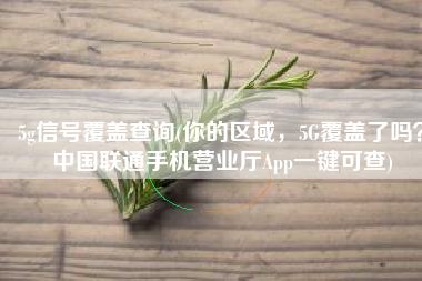 5g信号覆盖查询(你的区域，5G覆盖了吗？中国联通手机营业厅App一键可查)