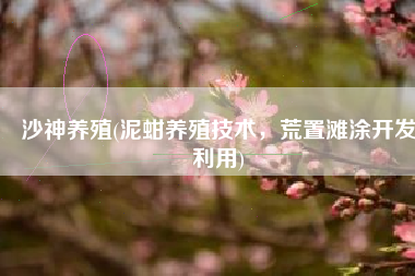 沙神养殖(泥蚶养殖技术，荒置滩涂开发利用)