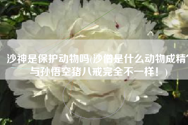 沙神是保护动物吗(沙僧是什么动物成精？与孙悟空猪八戒完全不一样！)