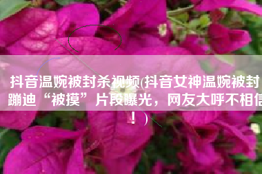 抖音温婉被封杀视频(抖音女神温婉被封，蹦迪“被摸”片段曝光，网友大呼不相信！)