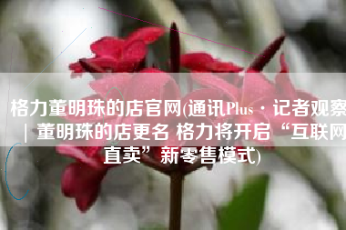 格力董明珠的店官网(通讯Plus·记者观察 | 董明珠的店更名 格力将开启“互联网直卖”新零售模式)