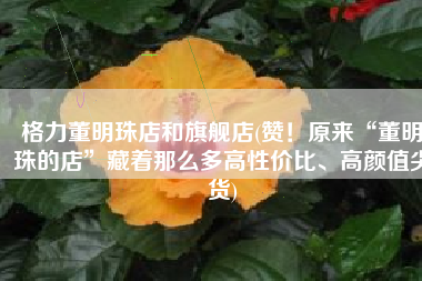 格力董明珠店和旗舰店(赞！原来“董明珠的店”藏着那么多高性价比、高颜值尖货)