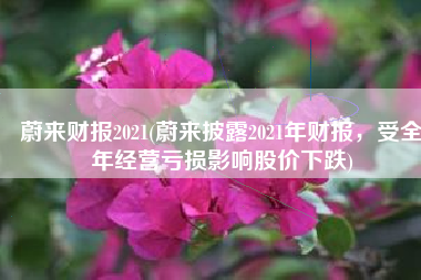蔚来财报2021(蔚来披露2021年财报，受全年经营亏损影响股价下跌)
