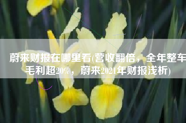 蔚来财报在哪里看(营收翻倍，全年整车毛利超20%，蔚来2021年财报浅析)
