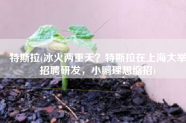 特斯拉(冰火两重天？特斯拉在上海大举招聘研发，小鹏理想缩招)