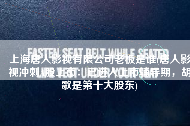上海唐人影视有限公司老板是谁(唐人影视冲刺A股上市：已进入上市辅导期，胡歌是第十大股东)