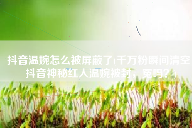 抖音温婉怎么被屏蔽了(千万粉瞬间清空，抖音神秘红人温婉被封，冤吗？)
