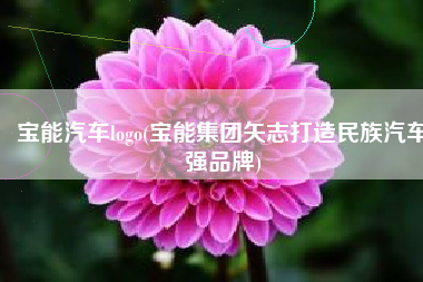 宝能汽车logo(宝能集团矢志打造民族汽车强品牌)
