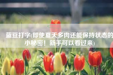 蓝豆打字(即使夏天多肉还能保持状态的小秘密！新手可以看过来)