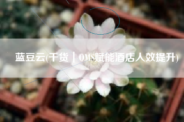 蓝豆云(干货｜OMS赋能酒店人效提升)