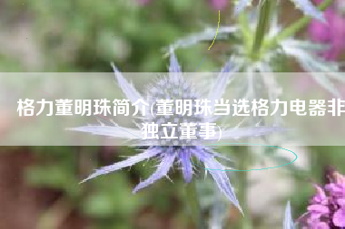 格力董明珠简介(董明珠当选格力电器非独立董事)