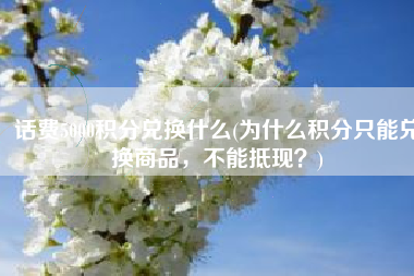 话费5000积分兑换什么(为什么积分只能兑换商品，不能抵现？)