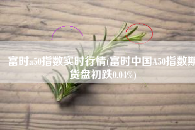 富时a50指数实时行情(富时中国A50指数期货盘初跌0.04%)