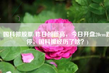 国科微股票(昨日创新高，今日开盘20cm跌停，国科微经历了啥？)