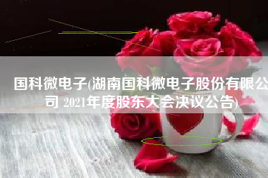 国科微电子(湖南国科微电子股份有限公司 2021年度股东大会决议公告)