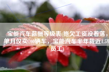 宝能汽车薪酬等级表(拖欠工资没着落，单月仅卖700辆车，宝能汽车半年裁近1.5W员工)
