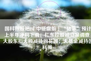 国科微股吧(「中证盘前」“猪茅”预计上半年净利下滑；仁东控股被立案调查；大股东拟大额减持同花顺；大基金减持国科微)