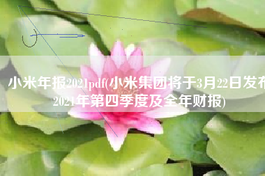 小米年报2021pdf(小米集团将于3月22日发布2021年第四季度及全年财报)