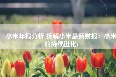 小米年报分析(拆解小米最新财报：小米的持续进化)