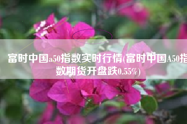 富时中国a50指数实时行情(富时中国A50指数期货开盘跌0.55%)