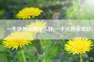 一千块创业做什么好(一千元创业项目)