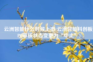 云洲智能什么时候上市(云洲智能科创板IPO审核状态变更为“中止”)