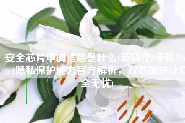 安全芯片中的信息是什么(新骁龙8手机Magic4隐私保护能力官方解析，双芯加持让安全无忧)
