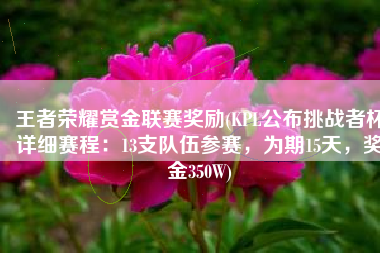 王者荣耀赏金联赛奖励(KPL公布挑战者杯详细赛程：13支队伍参赛，为期15天，奖金350W)