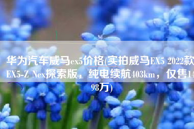 华为汽车威马ex5价格(实拍威马EX5 2022款 EX5-Z Nex探索版，纯电续航403km，仅售14.98万)