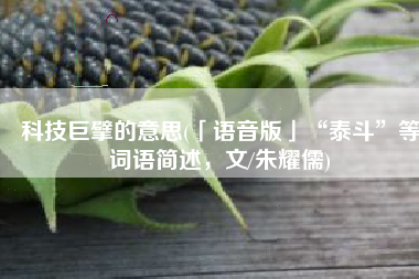 科技巨擘的意思(「语音版」“泰斗”等词语简述，文/朱耀儒)