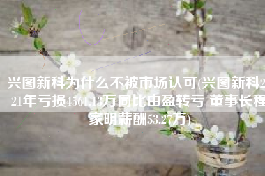 兴图新科为什么不被市场认可(兴图新科2021年亏损4561.13万同比由盈转亏 董事长程家明薪酬53.27万)