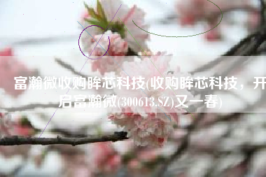 富瀚微收购眸芯科技(收购眸芯科技，开启富瀚微(300613.SZ)又一春)